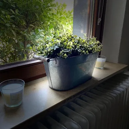 Privatzimmer mit eigenem Badezimmer Siegburg Exterior foto